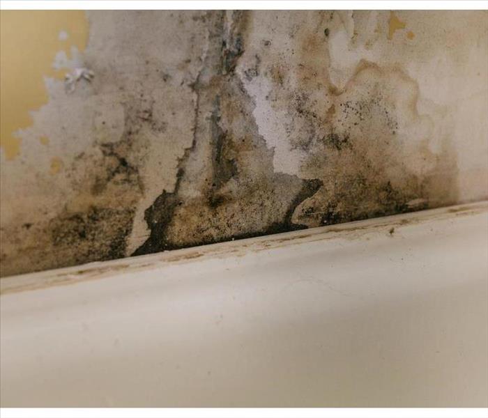 Wall is covered with mold due to humidity in the room